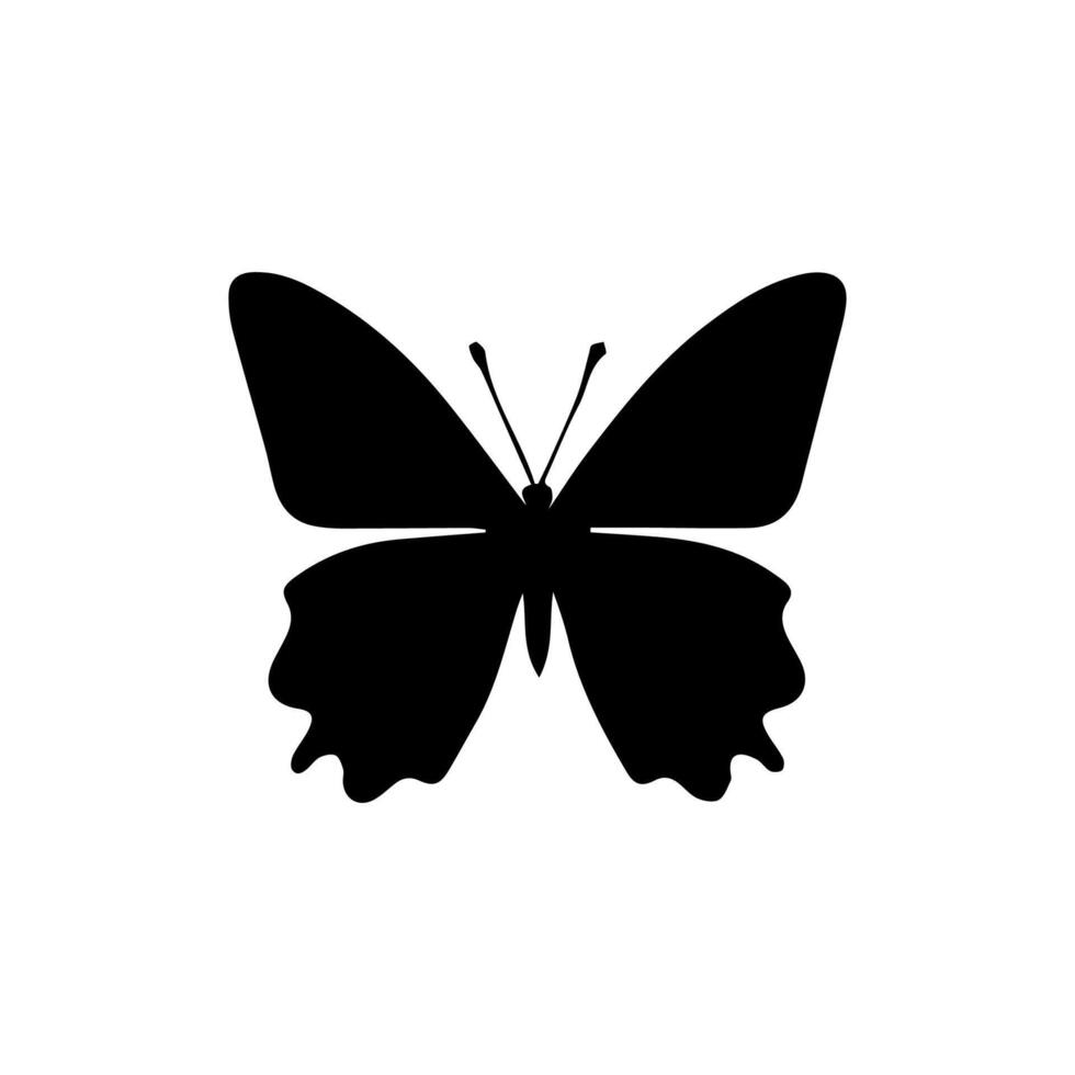 Beautiful Ornament Butterfly Decoration element Design vector