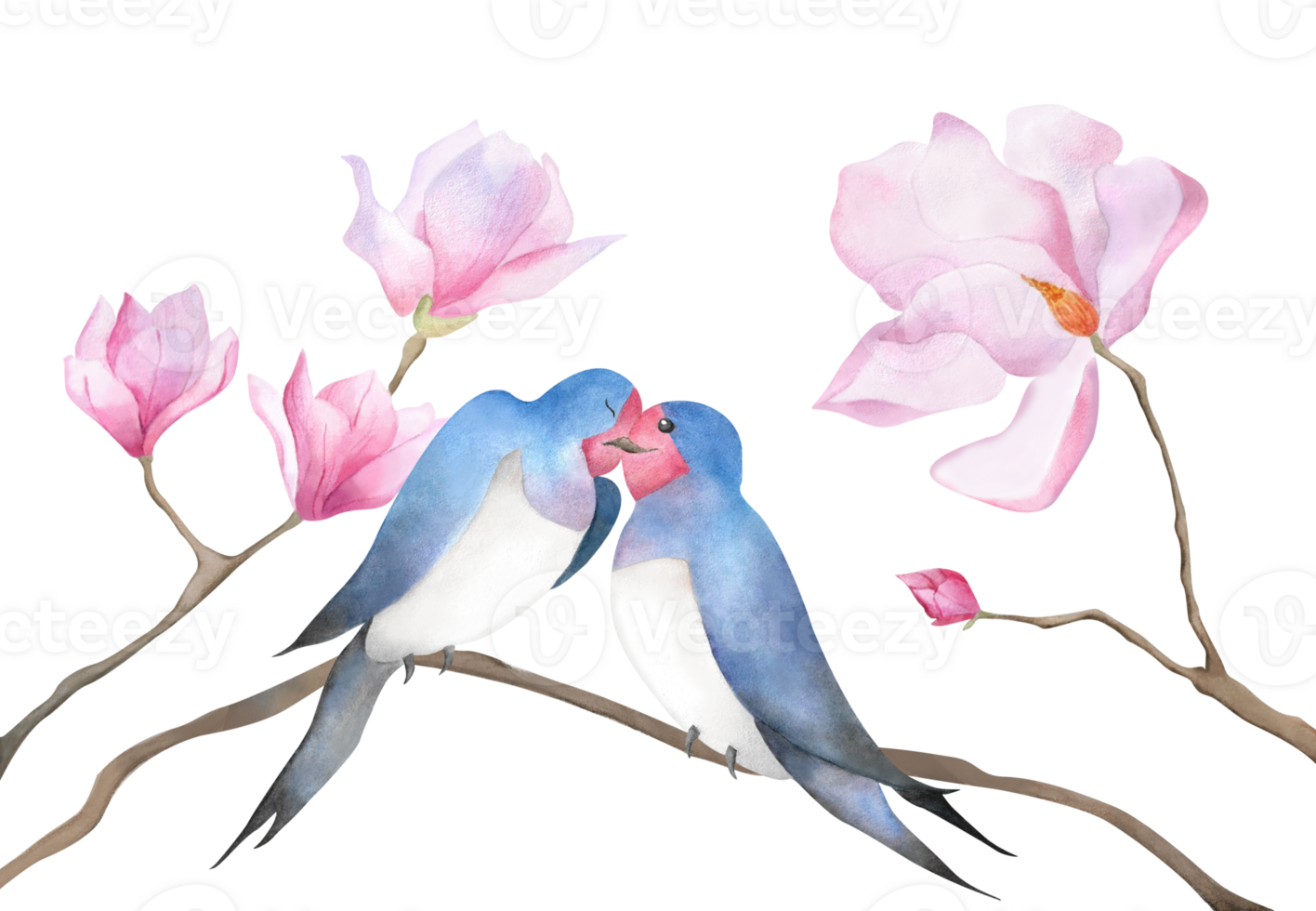 Watercolor kissing swallows couple in pink magnolia branches Floral clipart with two birds in love for Valentine day 2025 decoration baby design romantic poster postcard logo print wallpaper wrapping png