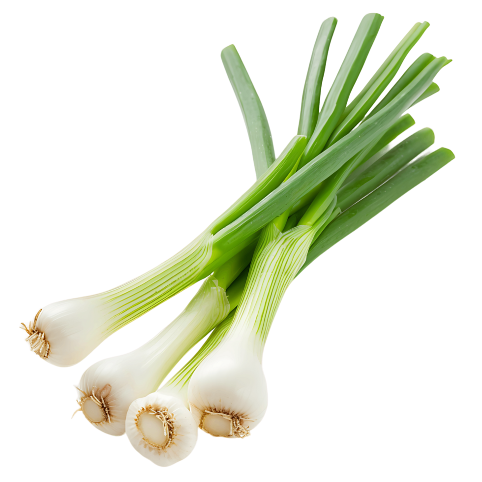 Fresh Green Onion on Transparent Isolated Image png