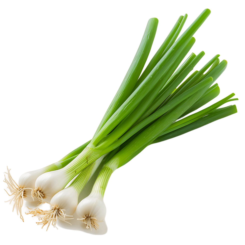 Transparent Cutout of Crisp Green Onion png