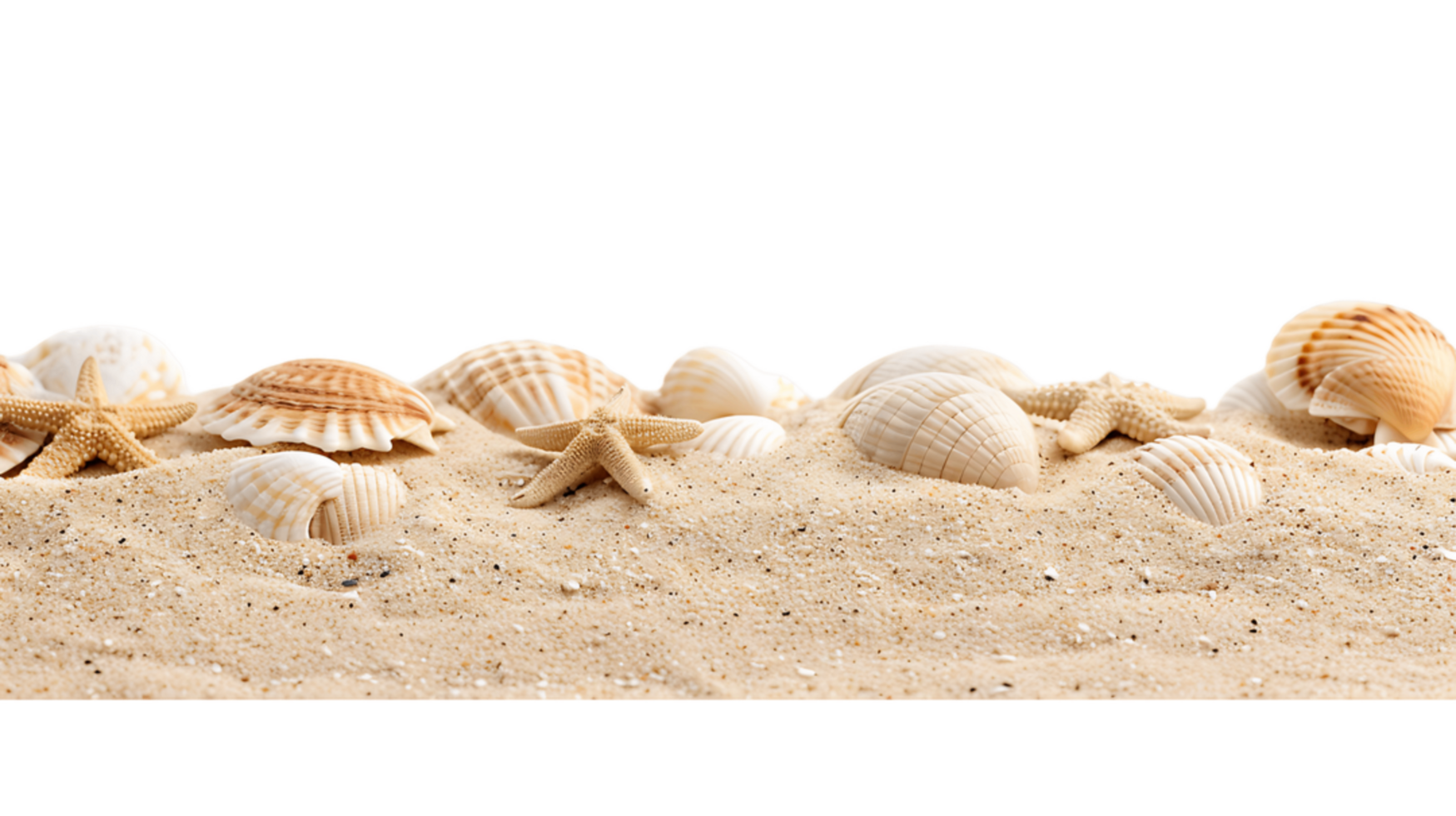 Isolated Sandy Beach with Alpha Channel png