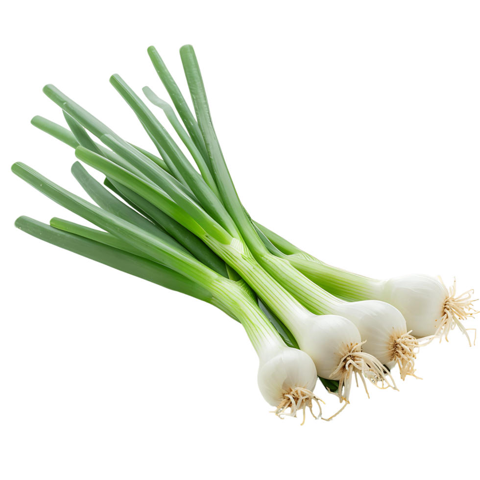 Transparent Background Cutout of Fresh Green Onion png