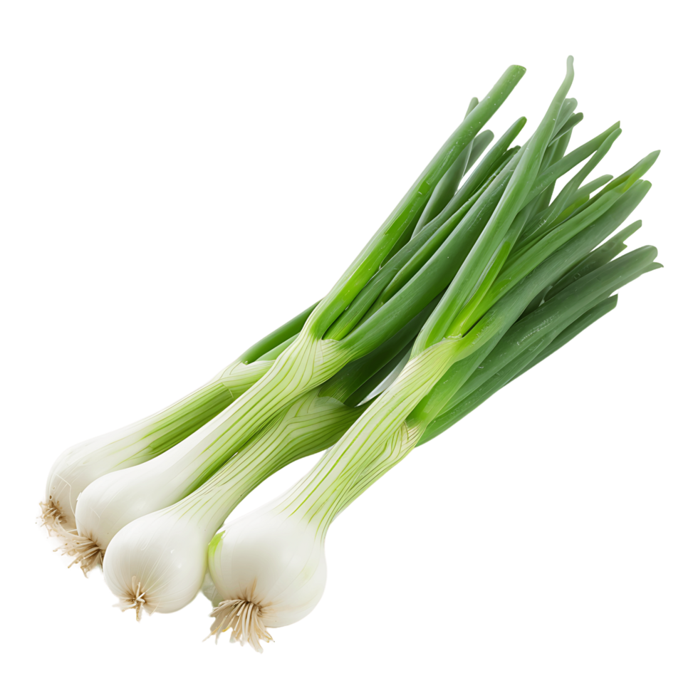 Clear Background Isolated Fresh Green Onion png