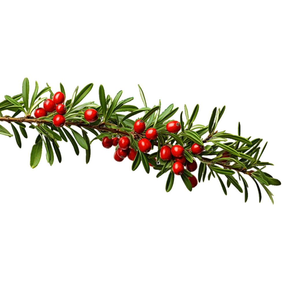 AI-Generated red berries on a branch with leaves on a transparent background png