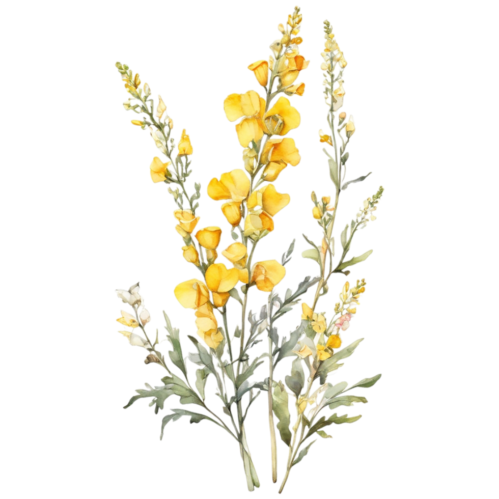 Watercolor Floral Flower Design, Watercolor Flower Arrangements Floral, Watercolor Flower Bouquet, Watercolor Flower Design png