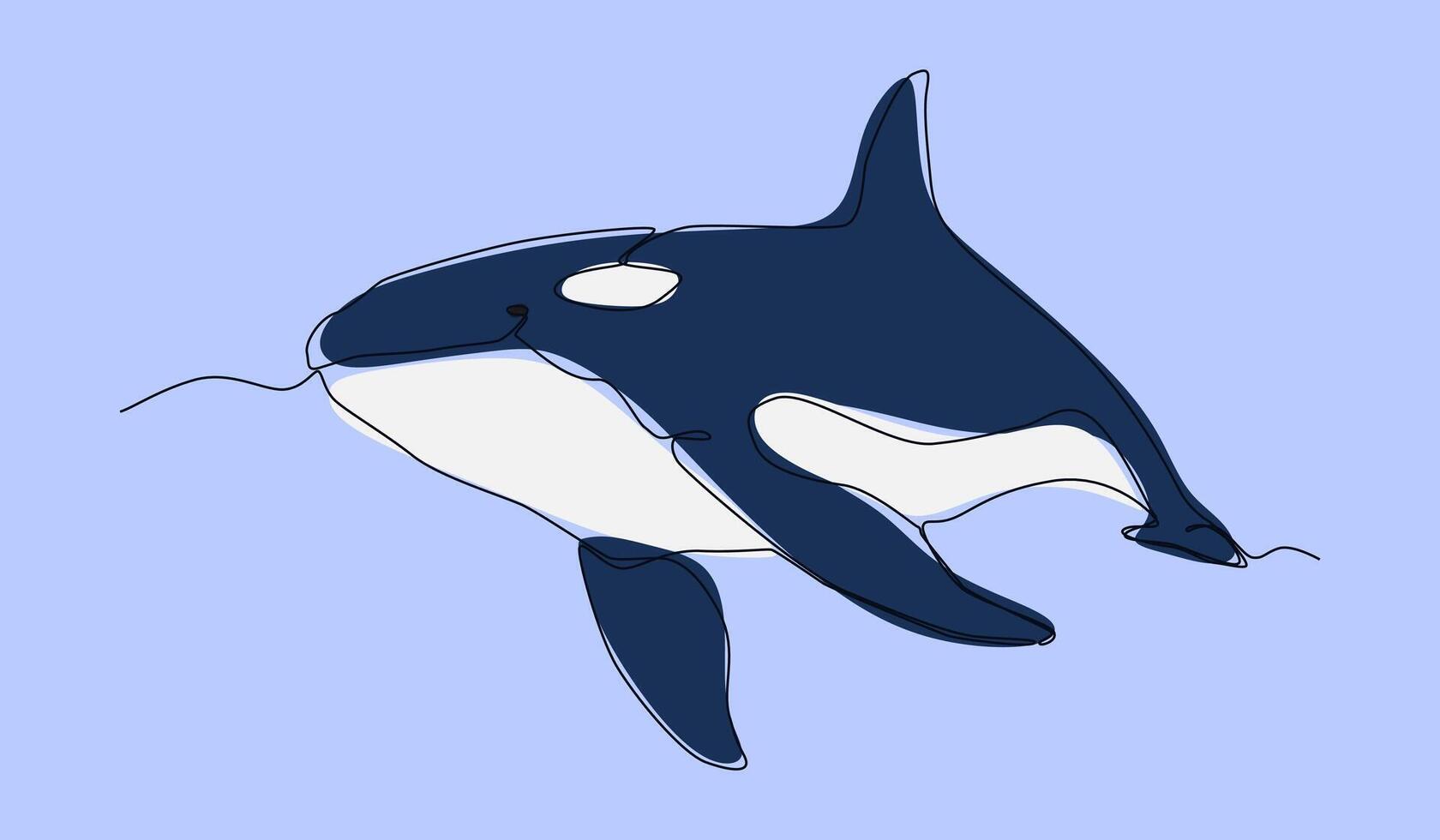 orca or killer whale in continuous one line drawing style. editable stroke and colored. graphic illustration. vector