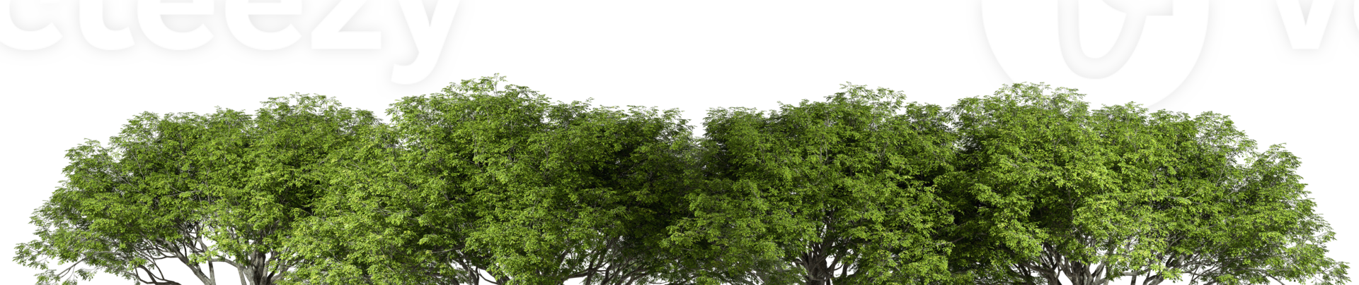 Panorama rainforest jungle landscaping lined cutout backgrounds 3d rendering png