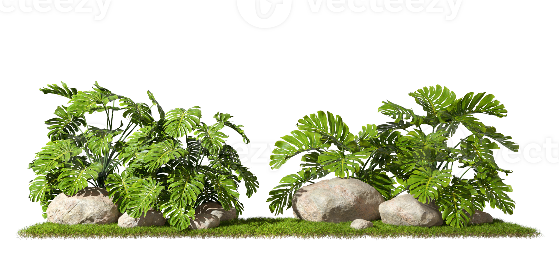 Tropics monstera jungle plants composition design on grass 3d rendering png