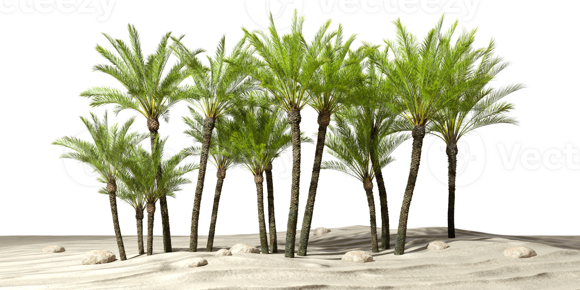 Palm trees forest on sand desert ground cutout backgrounds 3d rendering png