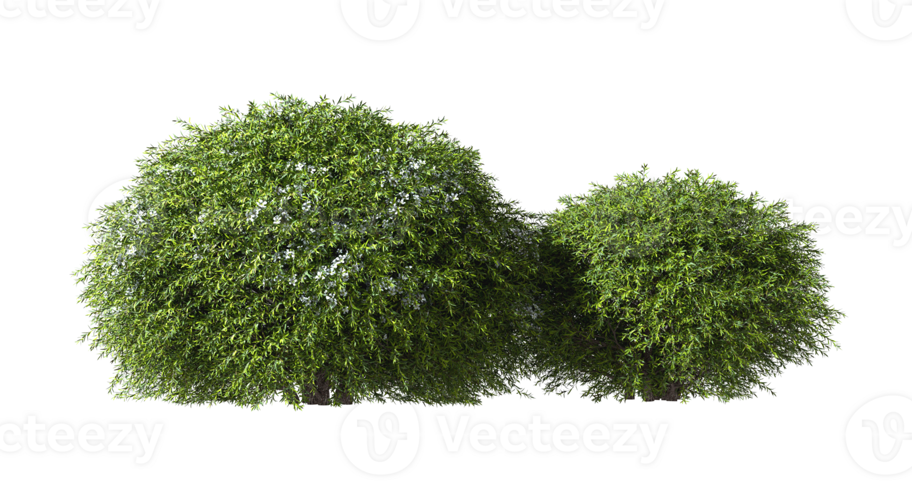 Realistic tropics greenish shrubs isolated on transparent backgrounds 3d rendering png