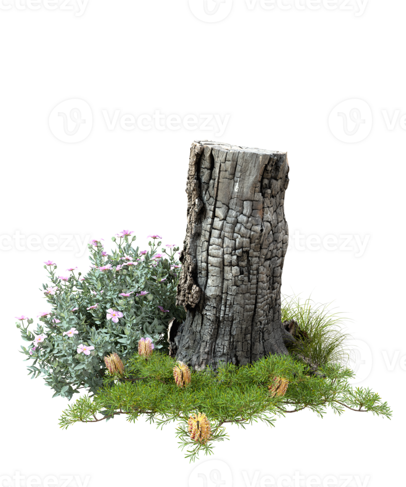 Dead stub hardwood on grass landscape transparent backgrounds 3d rendering png