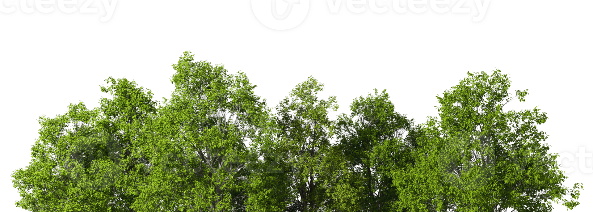 Greenery jungle trees landscape on transparent backgrounds 3d illustration png