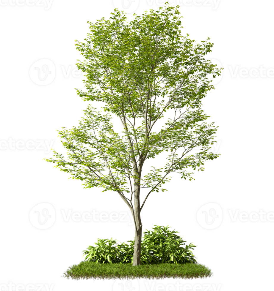 Cutout wild trees shapes on grass shrub transparent backgrounds png