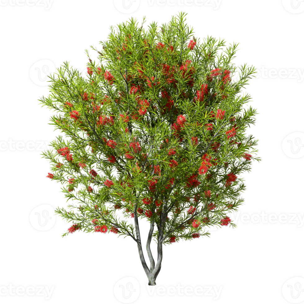 Cut out tree flowery shapes standing 3d illustration png