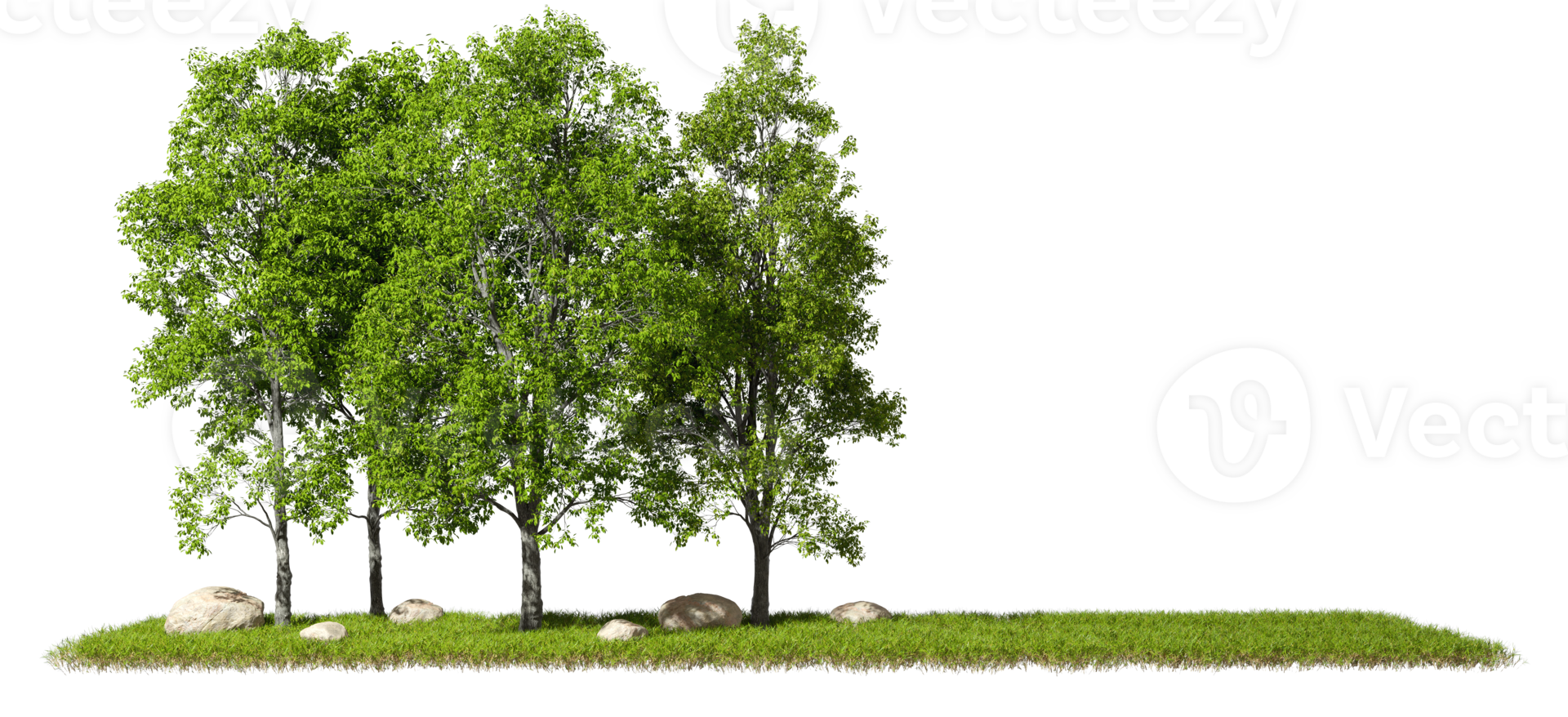 Landscaping jungle trees with copy-space cutout backgrounds 3d render png