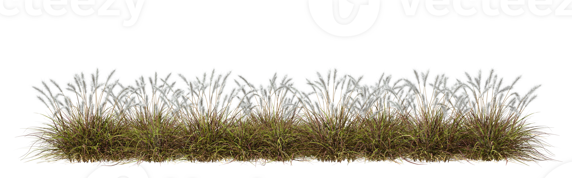 Nature prairie grass meadow horizontal row 3d rendering file png