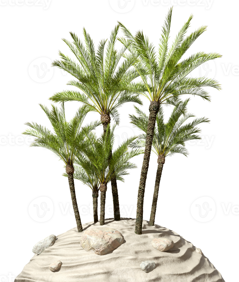 Conceptual realistic palm trees group on desert cutout backgrounds 3d rendering png