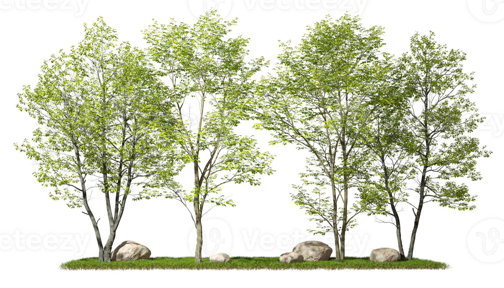 Forest trees layout design conposition on grassy cut out backgrounds 3d illustration file png