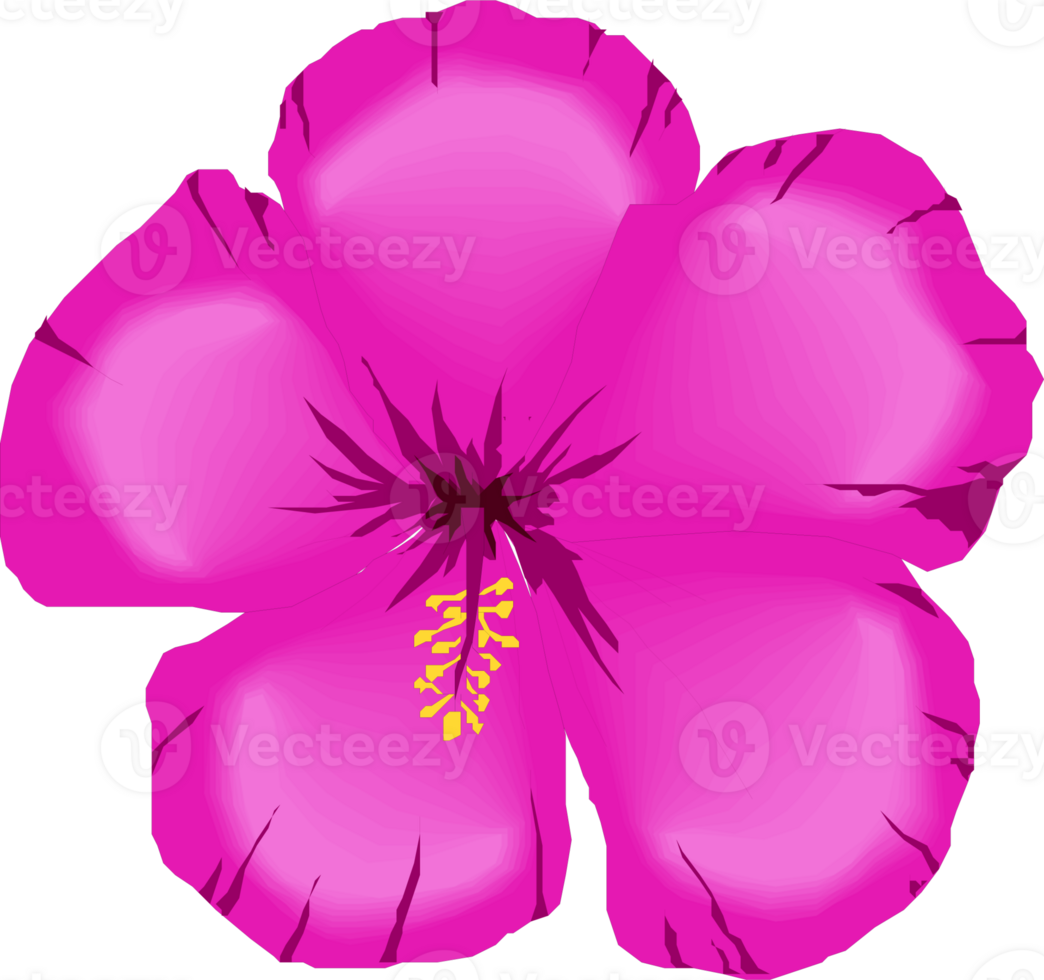 Pink flower shaped png