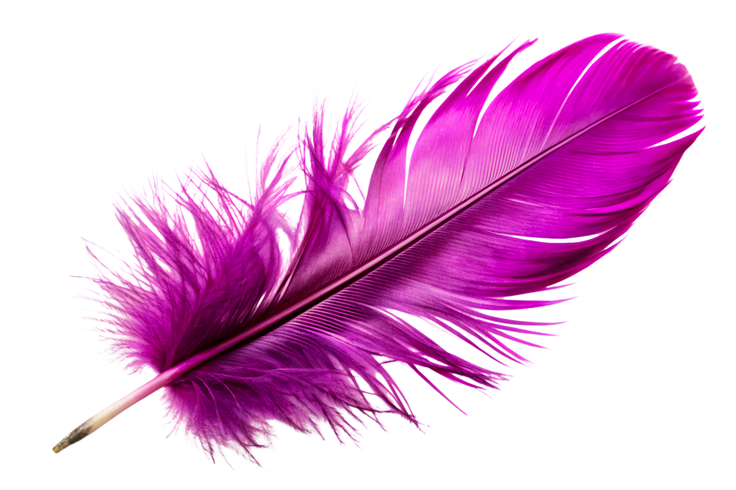 A Lightweight Purple Feather png