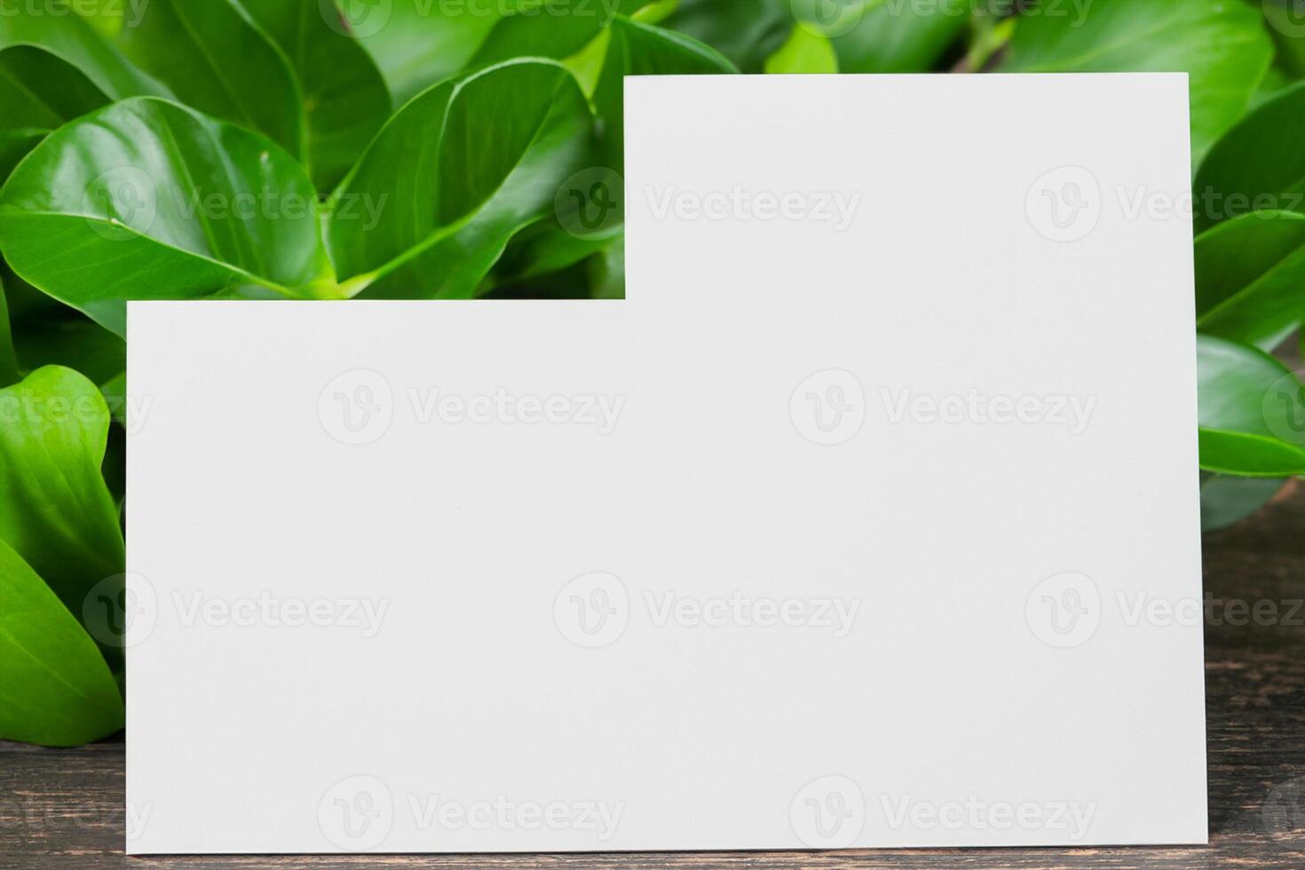 Wooden Background Combined with Leaves Enhances the Elegance of Paper, Creating a Stunning Composition Inspired by Nature's Harmony photo