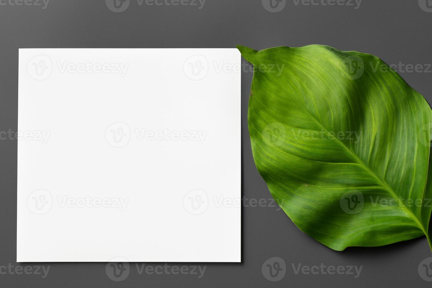 Wooden Background Combined with Leaves Enhances the Elegance of Paper, Creating a Stunning Composition Inspired by Nature's Harmony photo