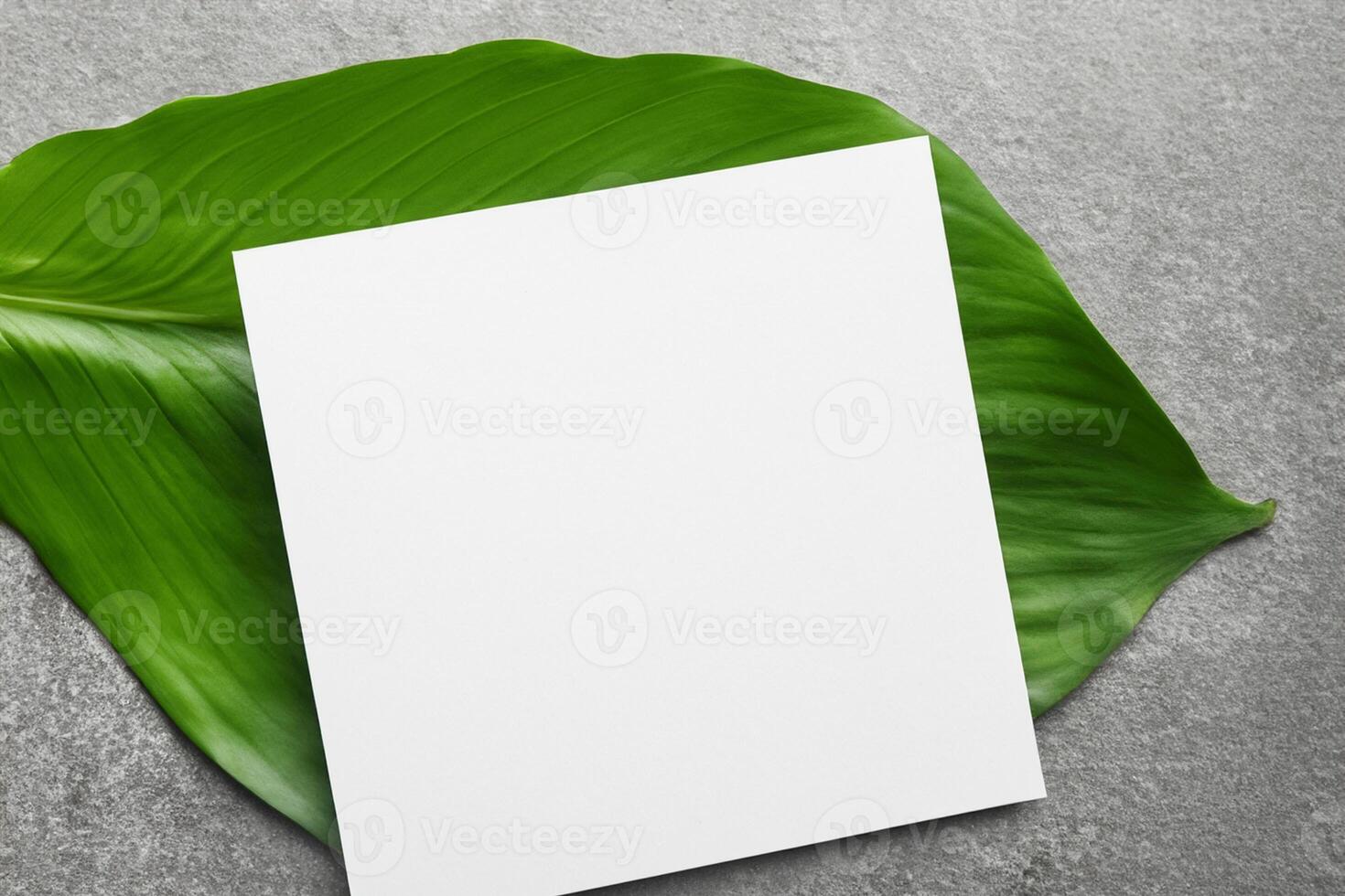 Wooden Background Combined with Leaves Enhances the Elegance of Paper, Creating a Stunning Composition Inspired by Nature's Harmony photo