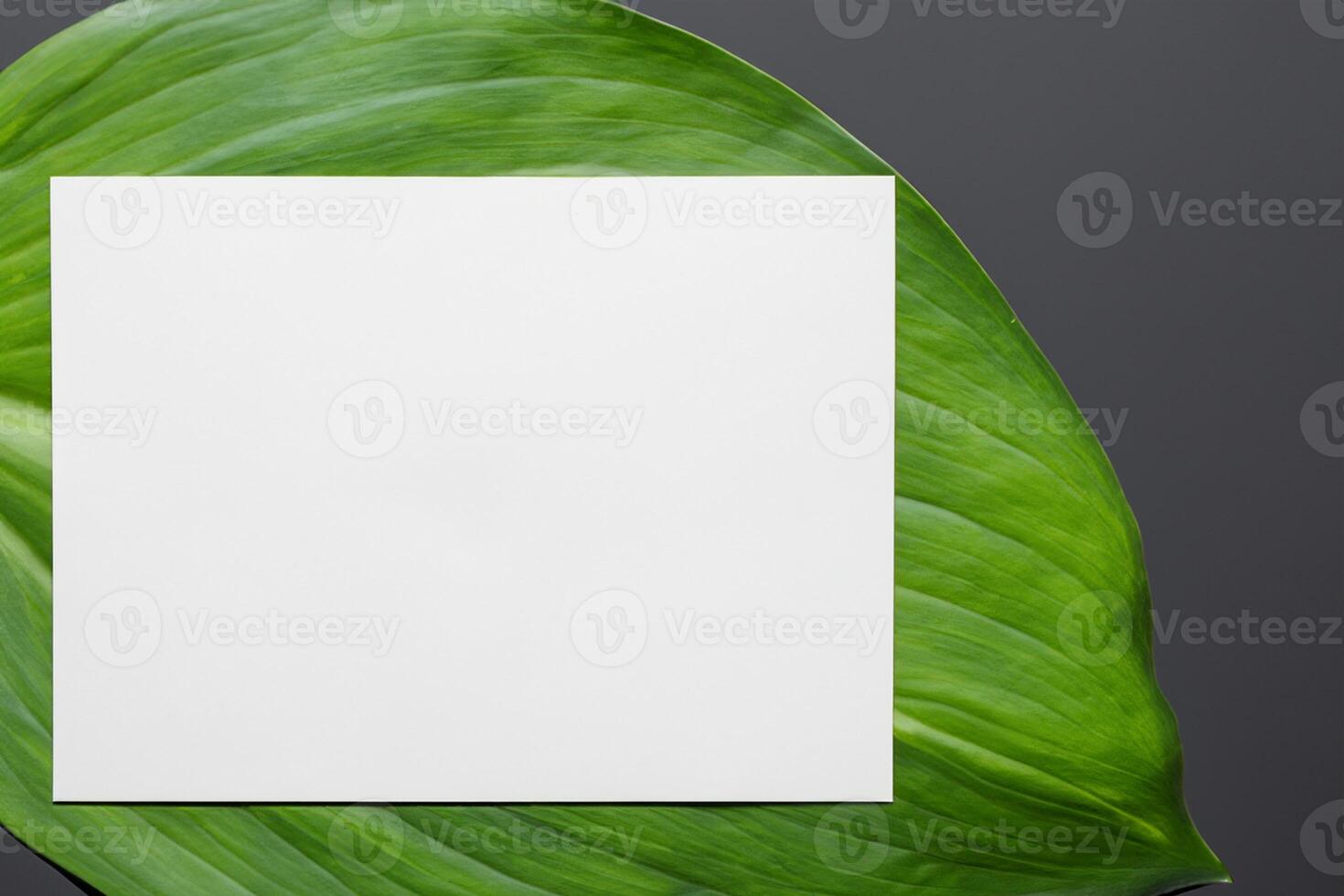 Wooden Background Combined with Leaves Enhances the Elegance of Paper, Creating a Stunning Composition Inspired by Nature's Harmony photo
