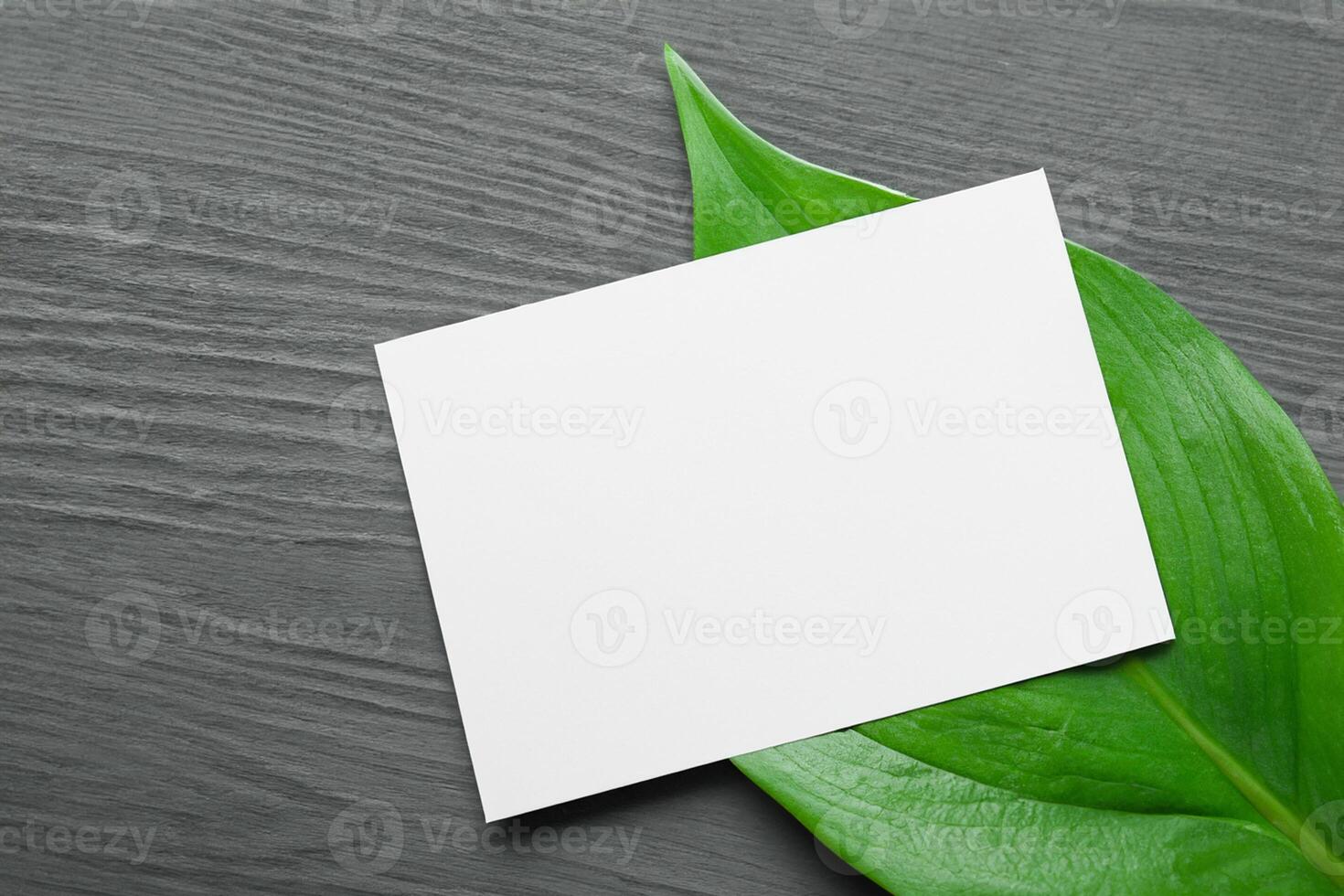 Wooden Background Combined with Leaves Enhances the Elegance of Paper, Creating a Stunning Composition Inspired by Nature's Harmony photo