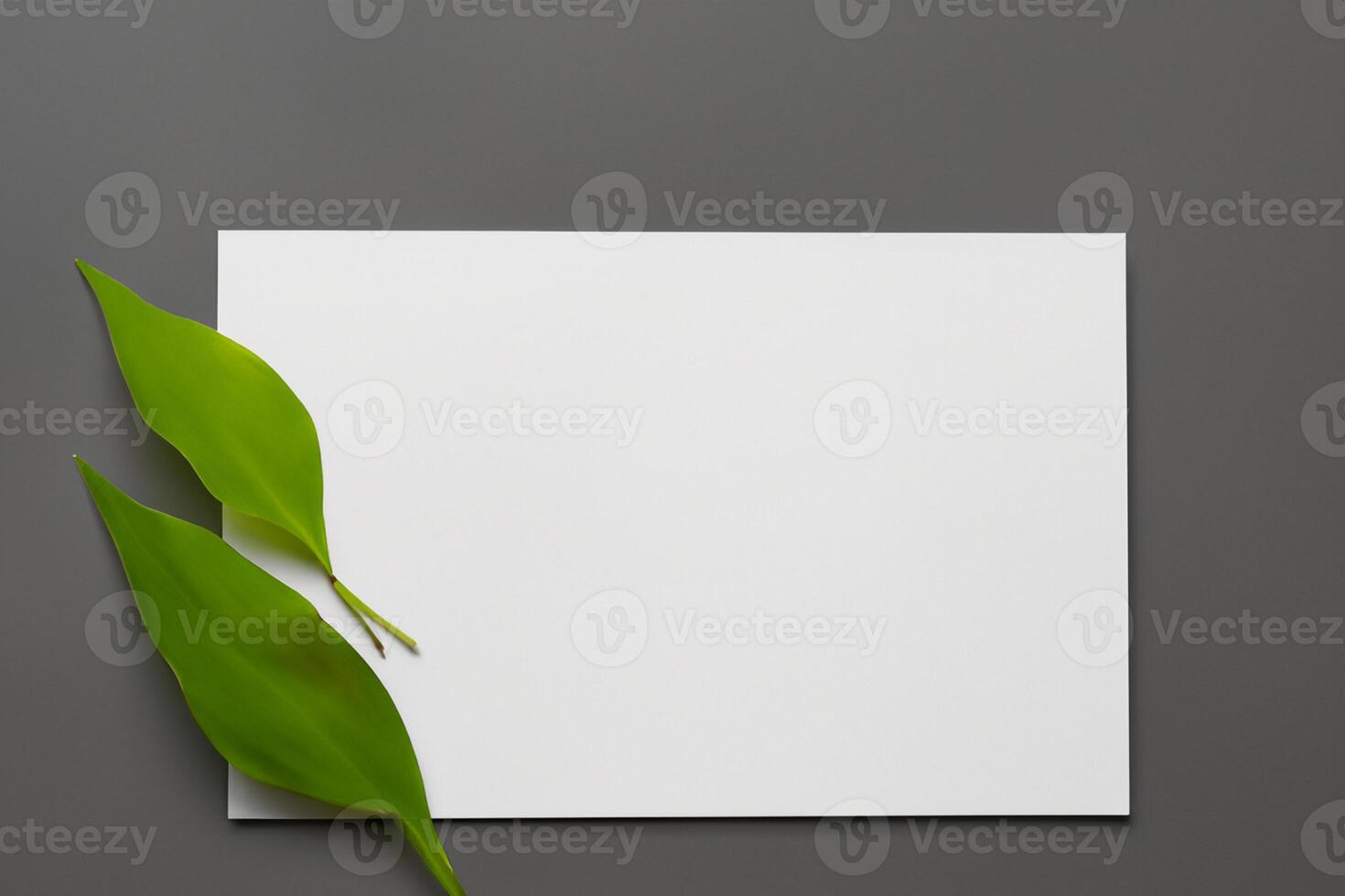 Wooden Background Combined with Leaves Enhances the Elegance of Paper, Creating a Stunning Composition Inspired by Nature's Harmony photo