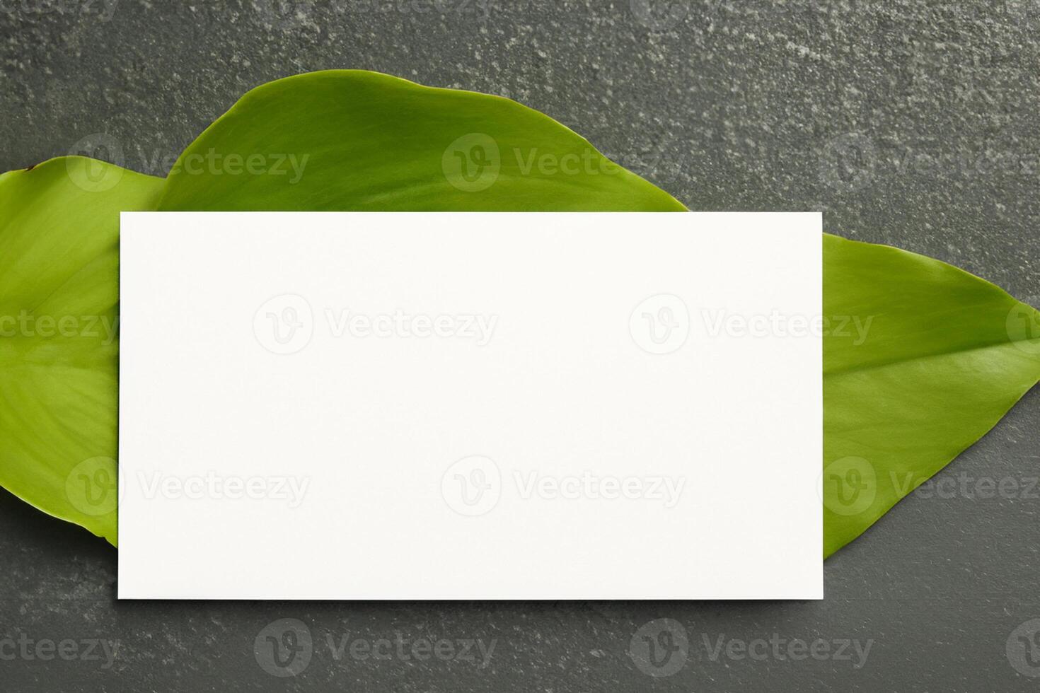 Wooden Background Combined with Leaves Enhances the Elegance of Paper, Creating a Stunning Composition Inspired by Nature's Harmony photo