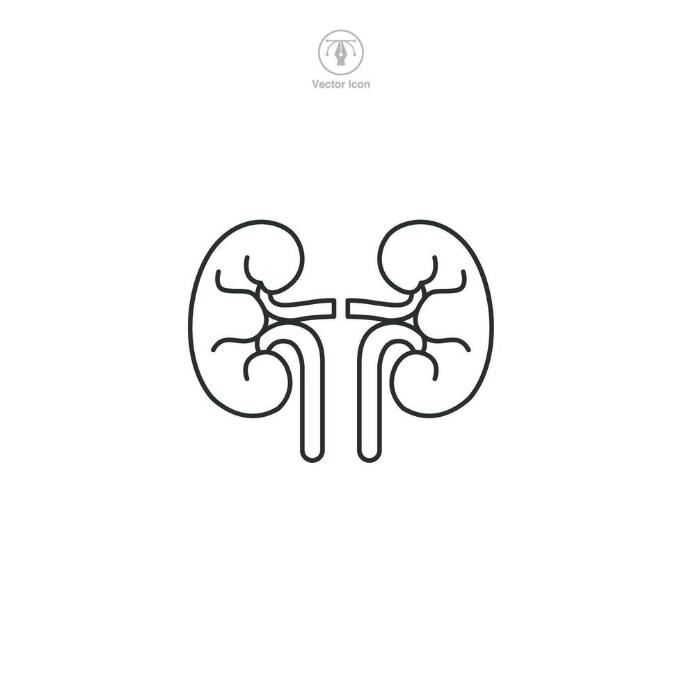 Kidneys Icon. Medical or Healthcare theme symbol illustration isolated on white background vector