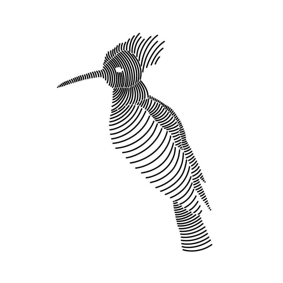 Simple line art illustration of a hoopoe 2 vector