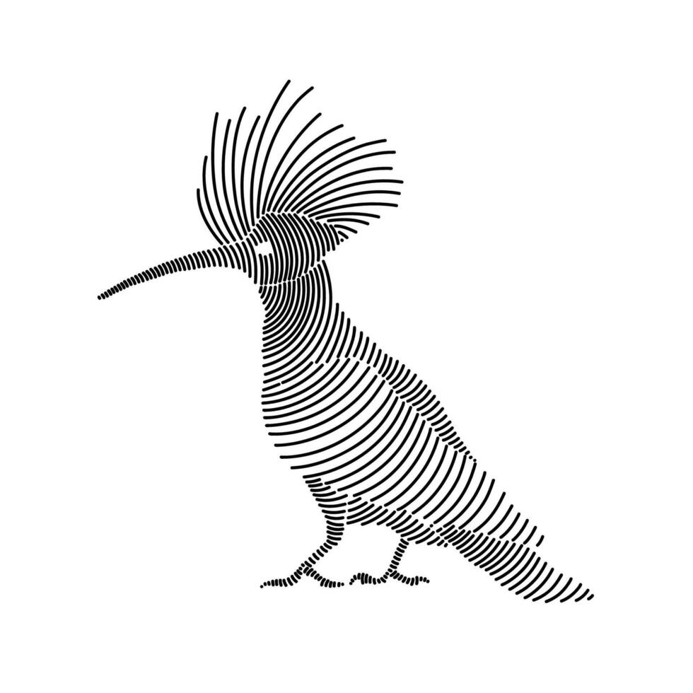 Simple line art illustration of a hoopoe 3 vector