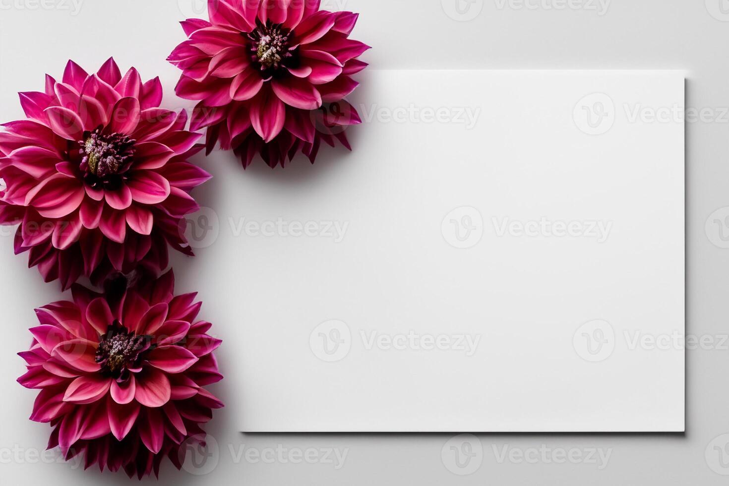 Mockup Cute Flower on White Background A Charming Display of Floral Elegance and Simplicity photo