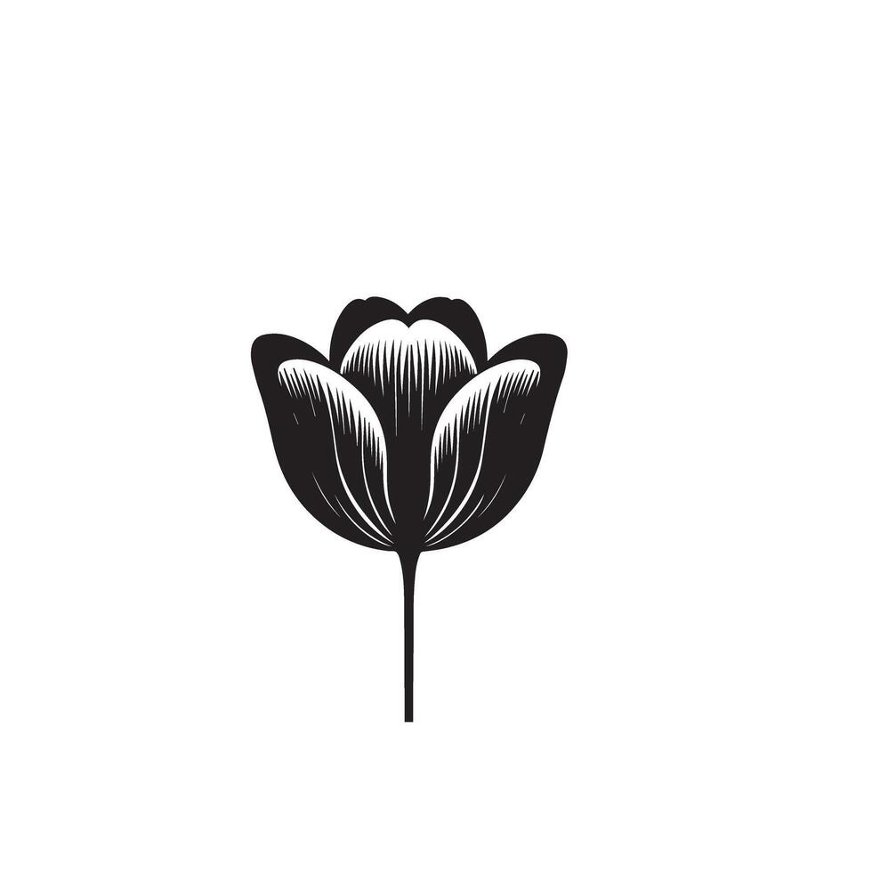 Tulip flower silhouette. flower illustration, tulip flower logo on white background. vector