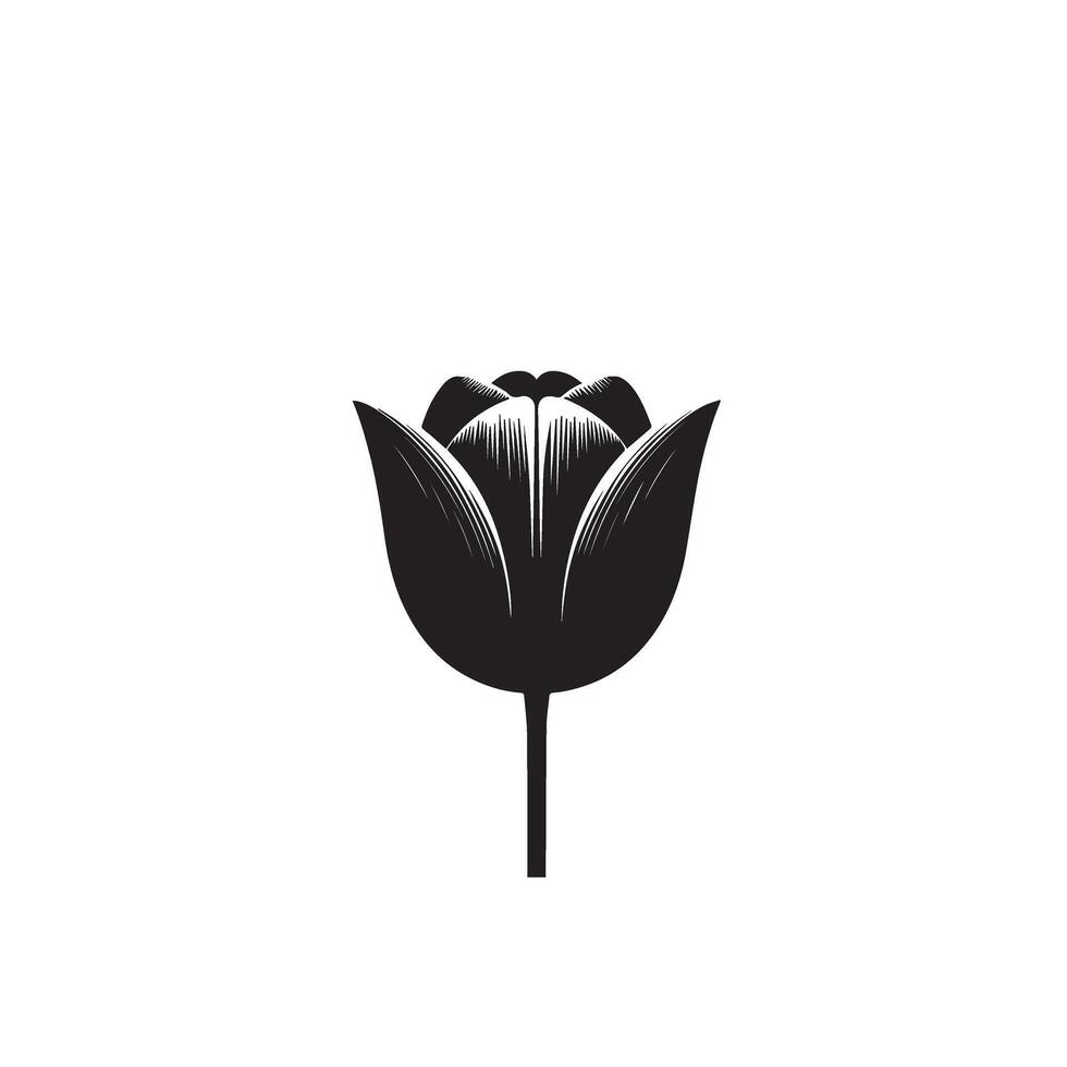 Tulip flower silhouette. flower illustration, tulip flower logo on white background. vector