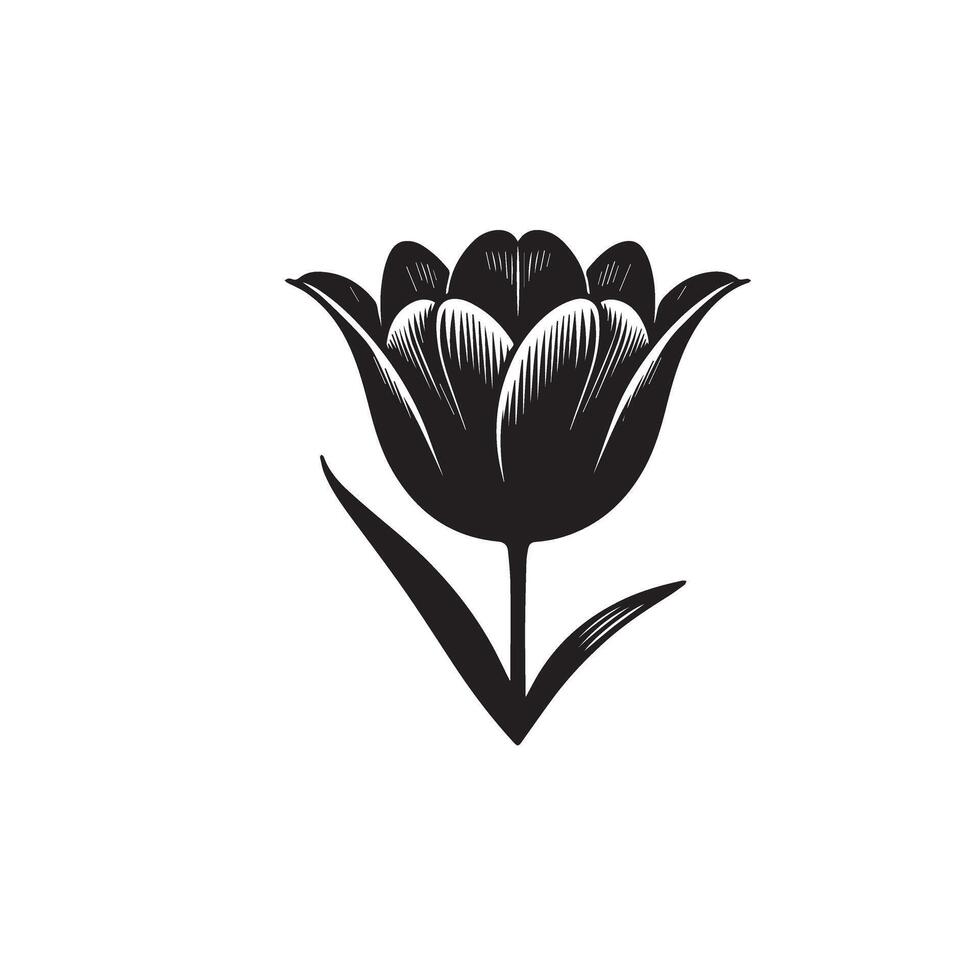 Tulip flower silhouette. flower illustration, tulip flower logo on white background. vector
