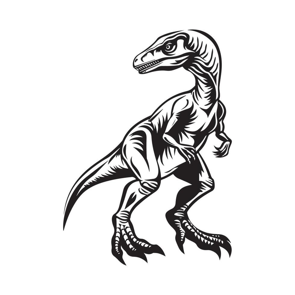 Velociraptor Dinosaur Illustration Image design art on white background vector