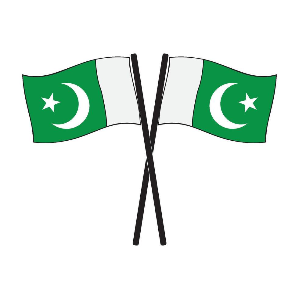 Pakistani flag icon vector
