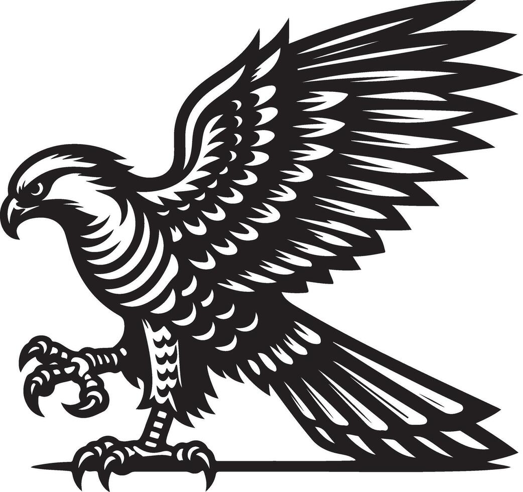 goshawk art Illustration vector