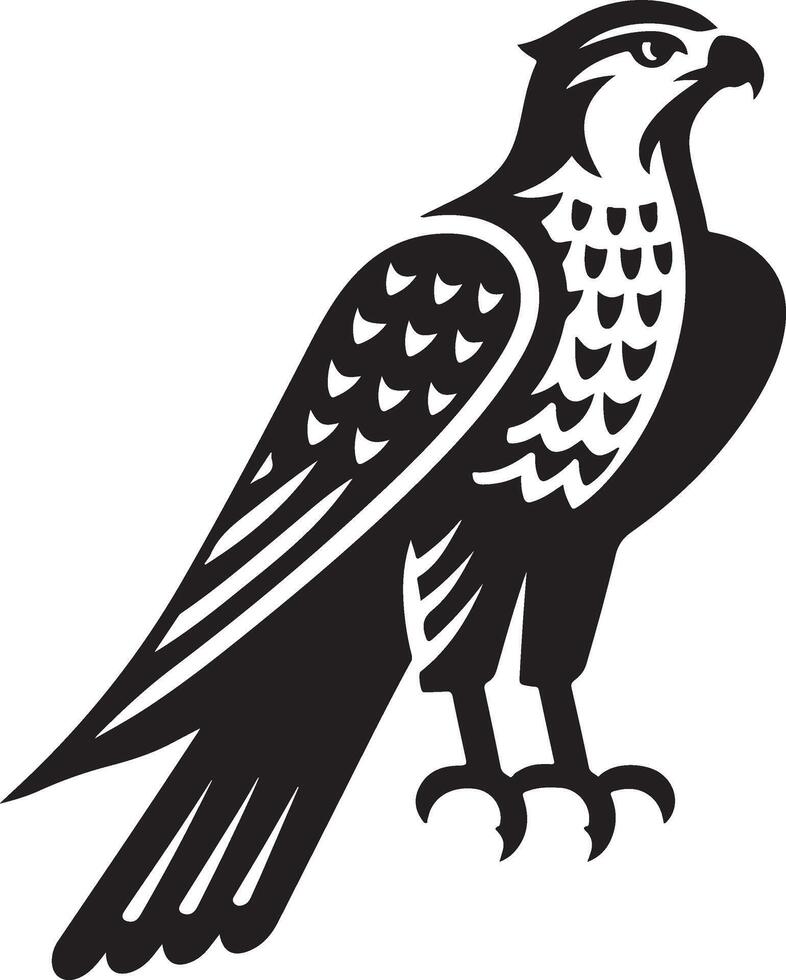 goshawk art Illustration vector