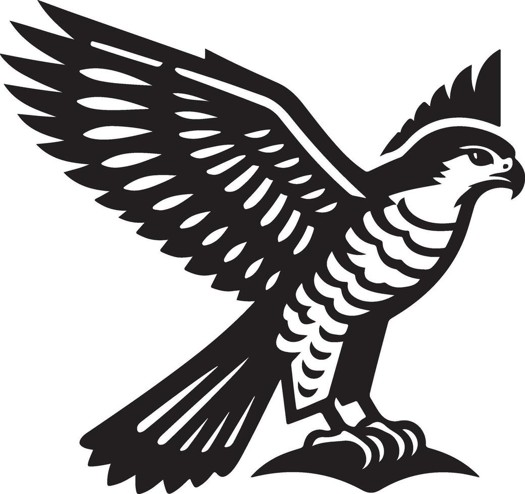 goshawk art Illustration vector