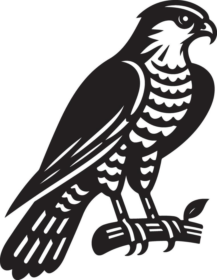 goshawk art Illustration vector