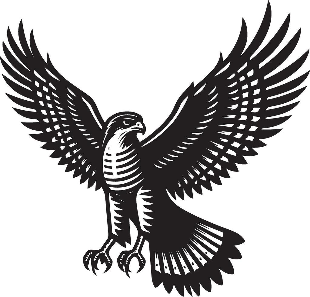 goshawk art Illustration vector