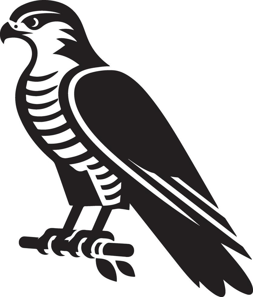 goshawk art Illustration vector
