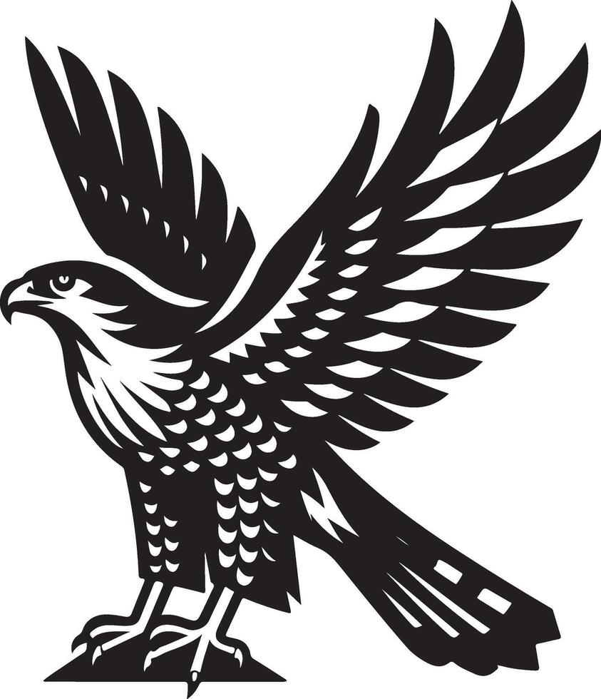 goshawk art Illustration vector