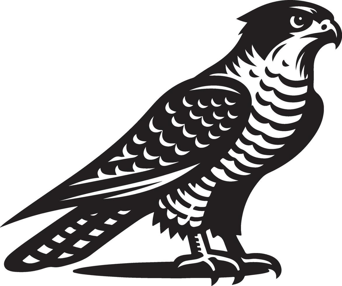 goshawk art Illustration vector