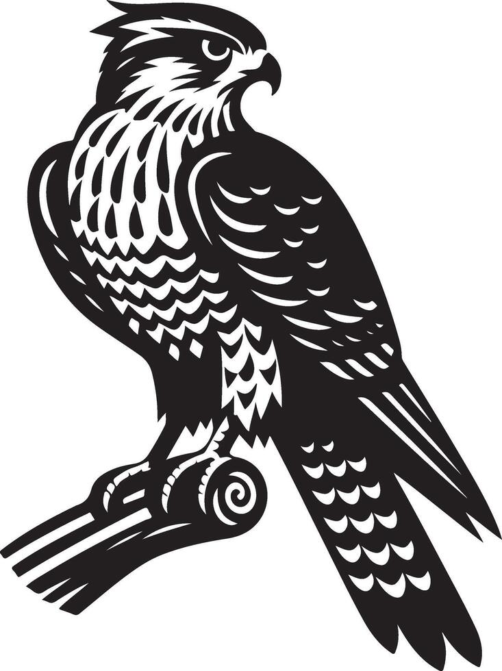 goshawk art Illustration vector