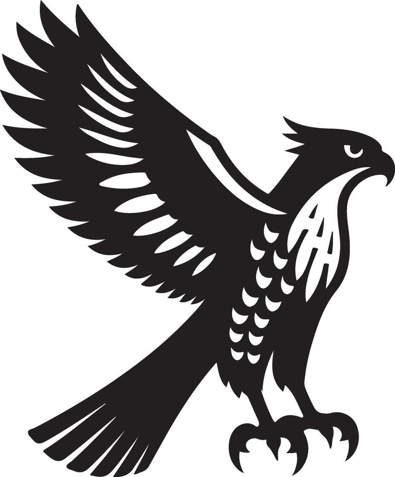 goshawk art Illustration vector